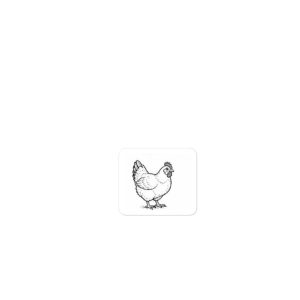 Chicken– Build Your Own Family Bumper Sticker Set